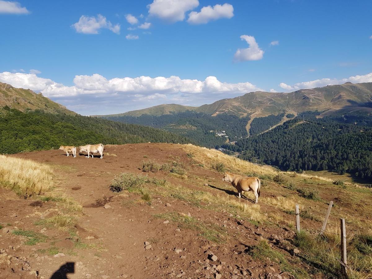 Recente Au Coeur Des Monts Du Cantal * Laveissière