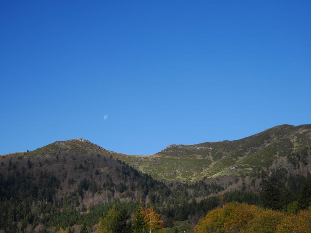 Recente Au Coeur Des Monts Du Cantal