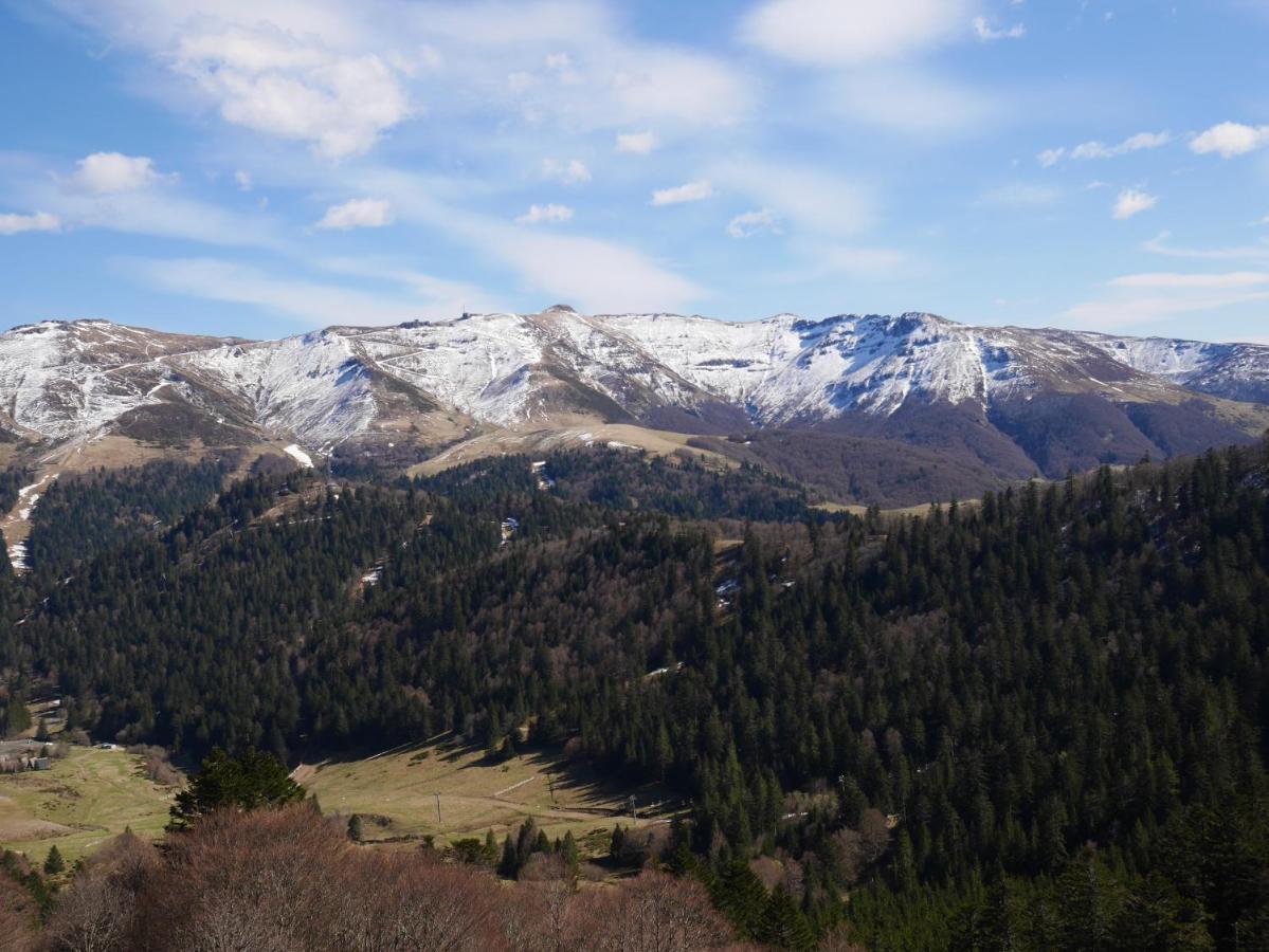 Recente Au Coeur Des Monts Du Cantal Apartment *