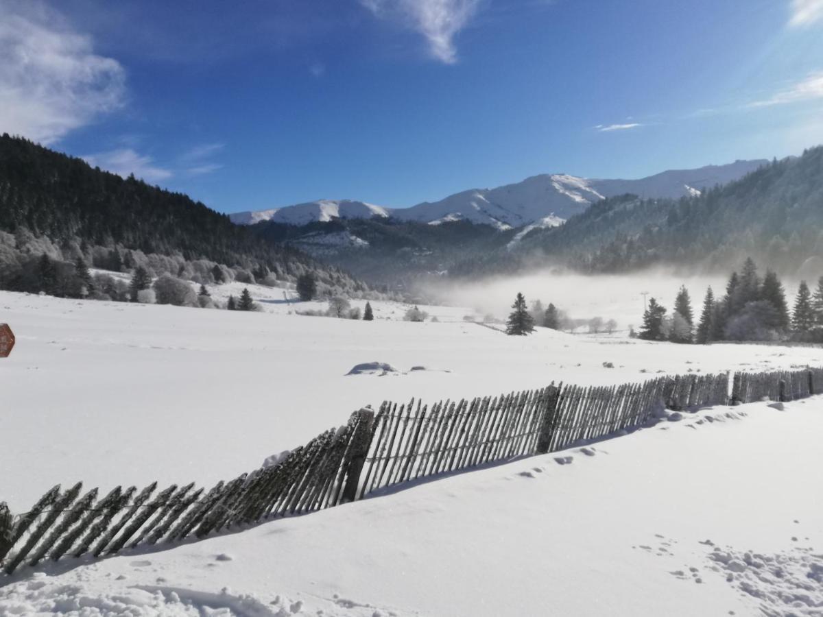 Appartement Recente Au Coeur Des Monts Du Cantal *
