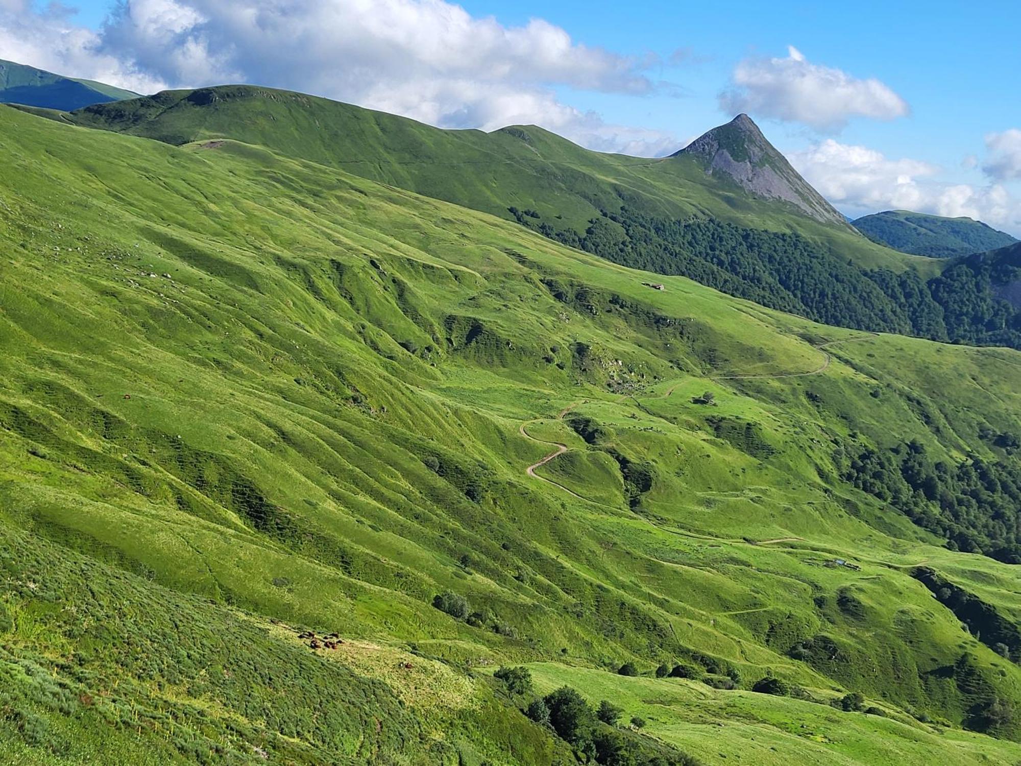 Appartement Recente Au Coeur Des Monts Du Cantal Laveissière