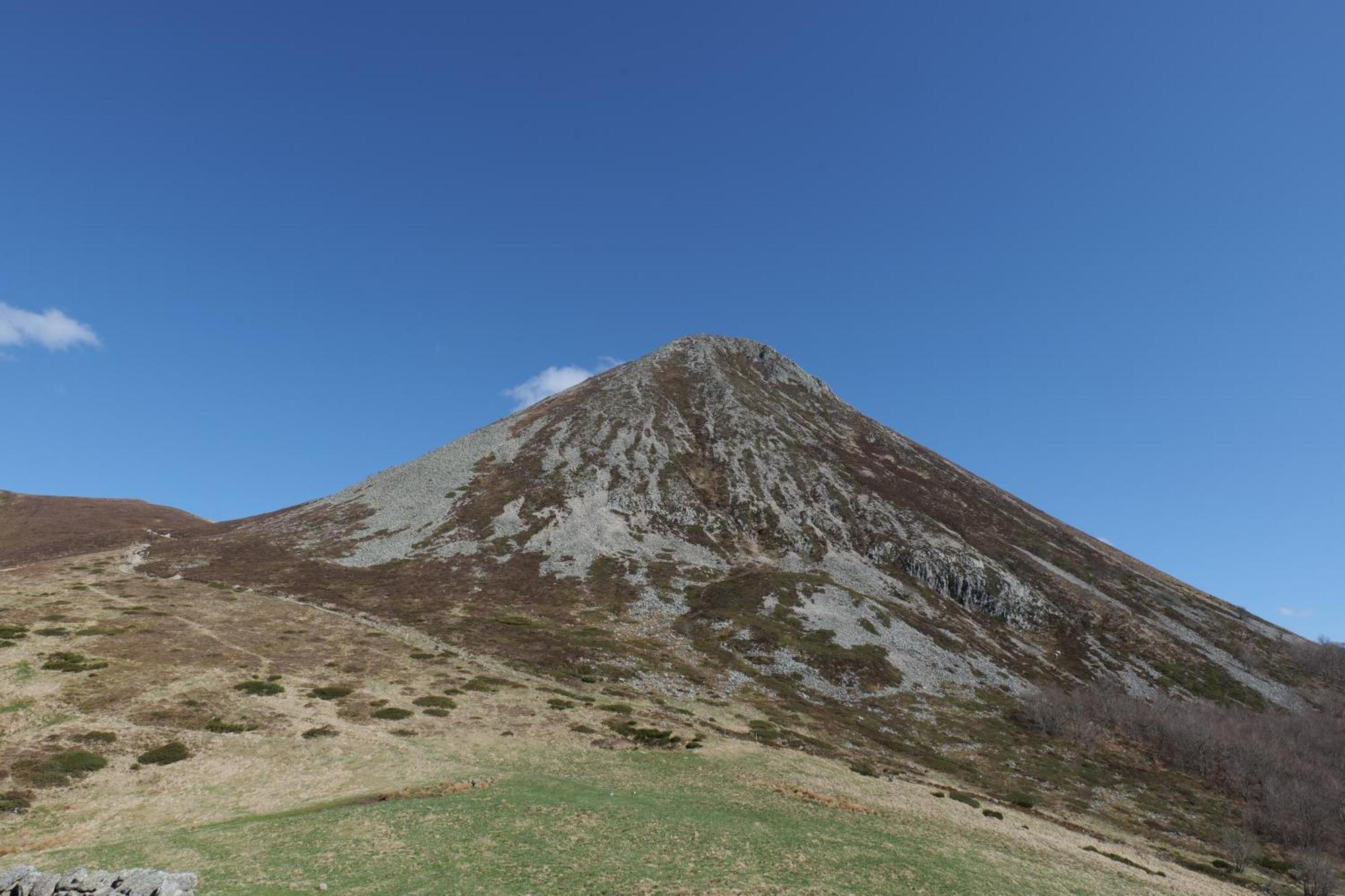 Appartement Recente Au Coeur Des Monts Du Cantal Laveissière